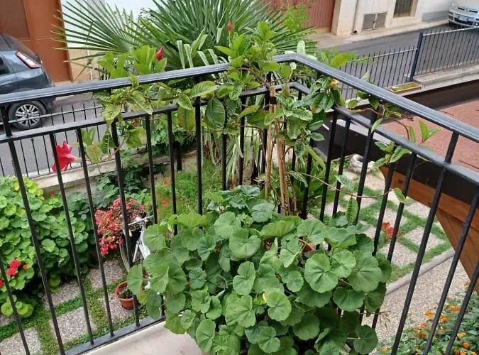 La Neviera 3* Toritto