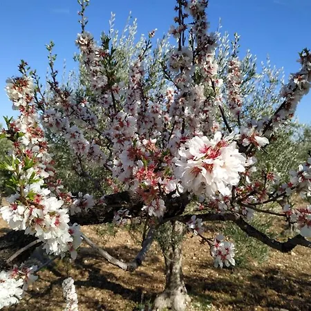 La Neviera 3* Toritto